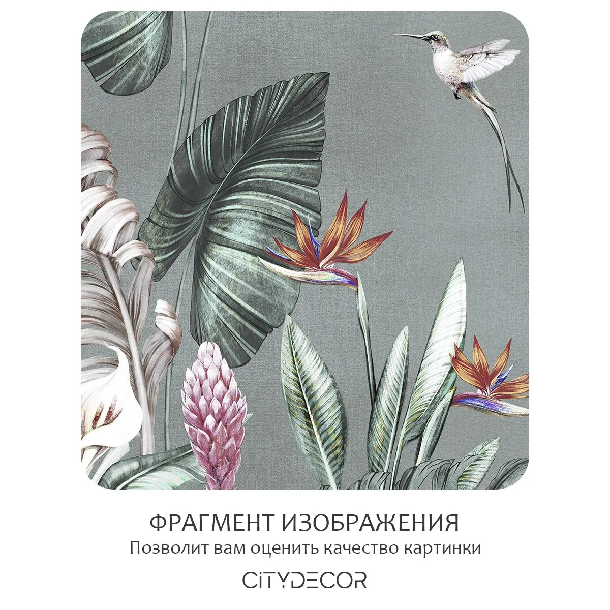 Бесшовное панно Citydecor Знойные тропики 40 на флизелиновой основе 500x270 см