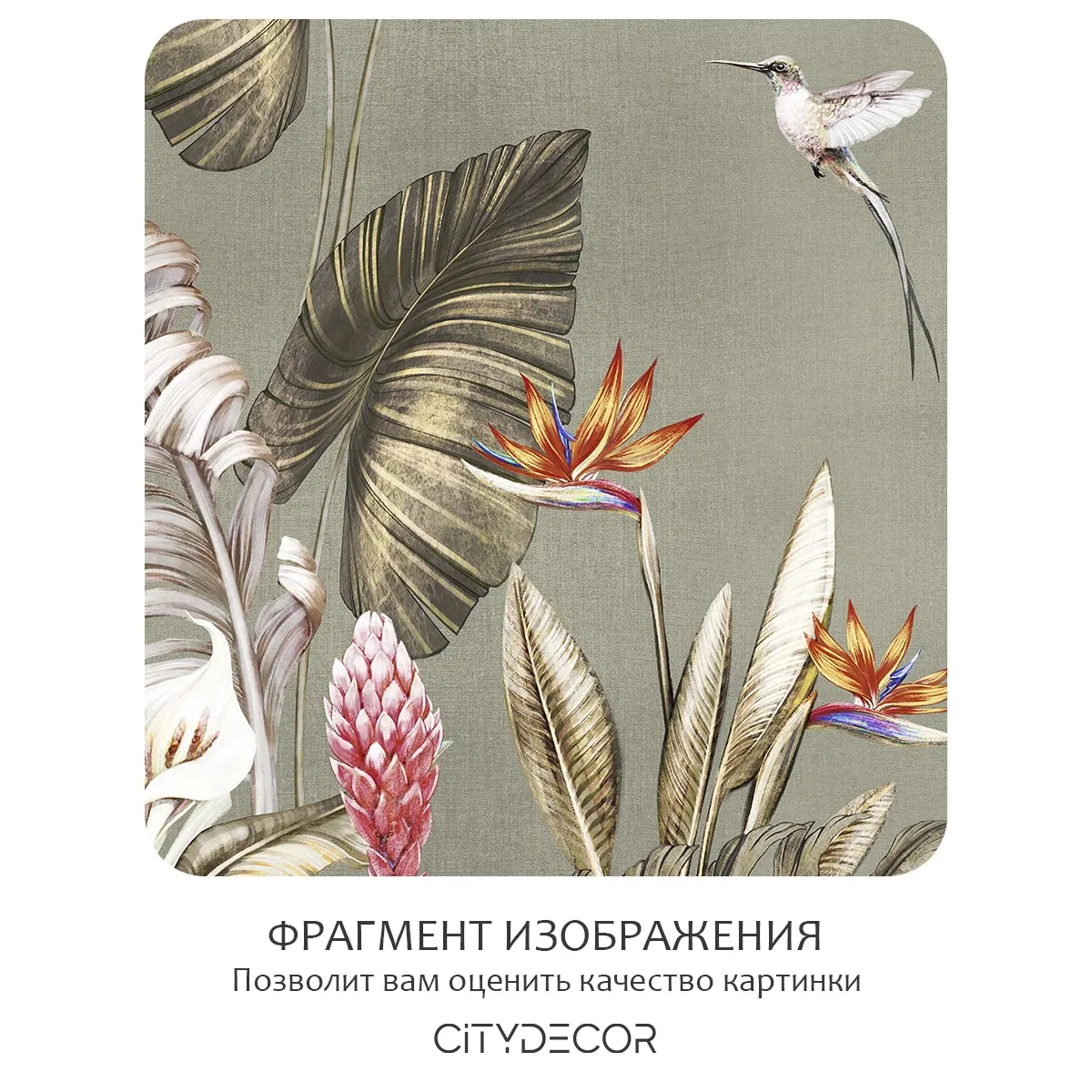 Бесшовное панно Citydecor Знойные тропики 42 на флизелиновой основе 500x270 см