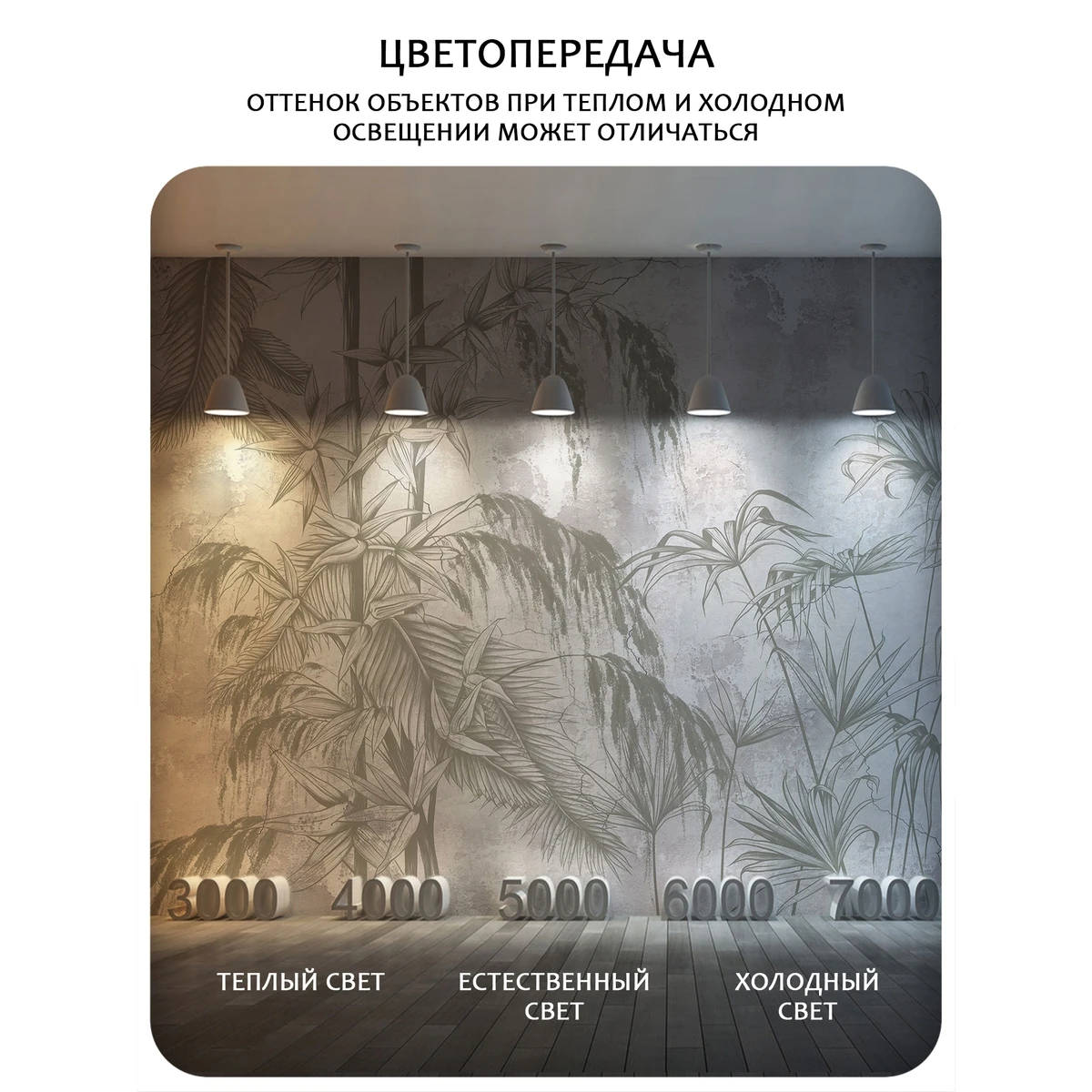 Бесшовное панно Citydecor Карта мира 16 на флизелиновой основе 300x270 см