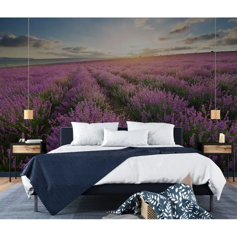 Фотообои рулонные Citydecor Лавандовое поле на флизелиновой основе 300x254 см