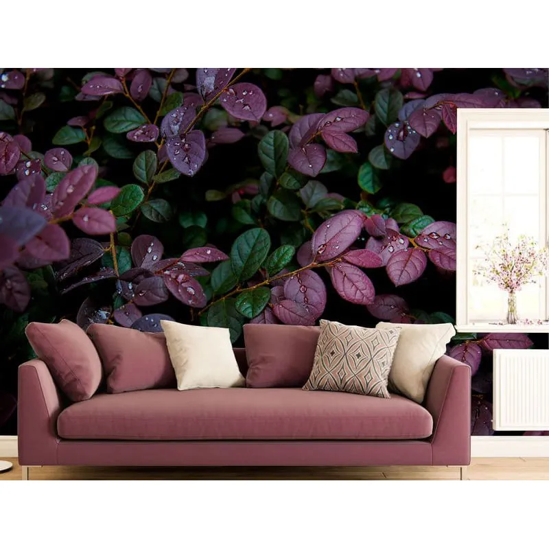 Фотообои рулонные Citydecor Роса 3D на флизелиновой основе 300x260 см